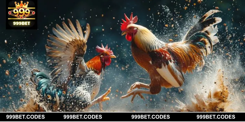 Các hình thức đá gà phổ biến tại sòng bạc online