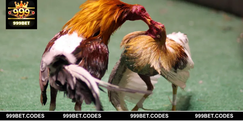 Liệt kê một vài ưu điểm của hình thức đá gà cựa sắt trực tuyến